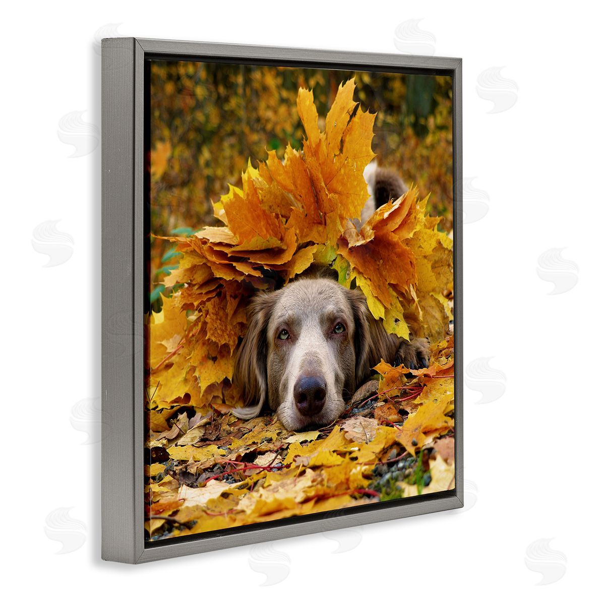 Stupell Studio Happy Puppy Autumn Foliage Gray Floating Frame Canvas Wall Art Print