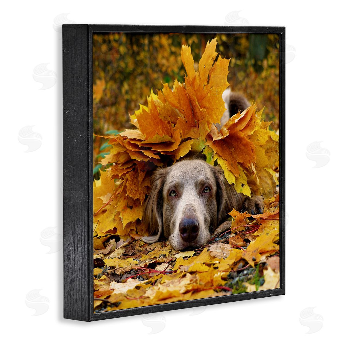 Stupell Studio Happy Puppy Autumn Foliage Black Framed Glicee Wall Art Print