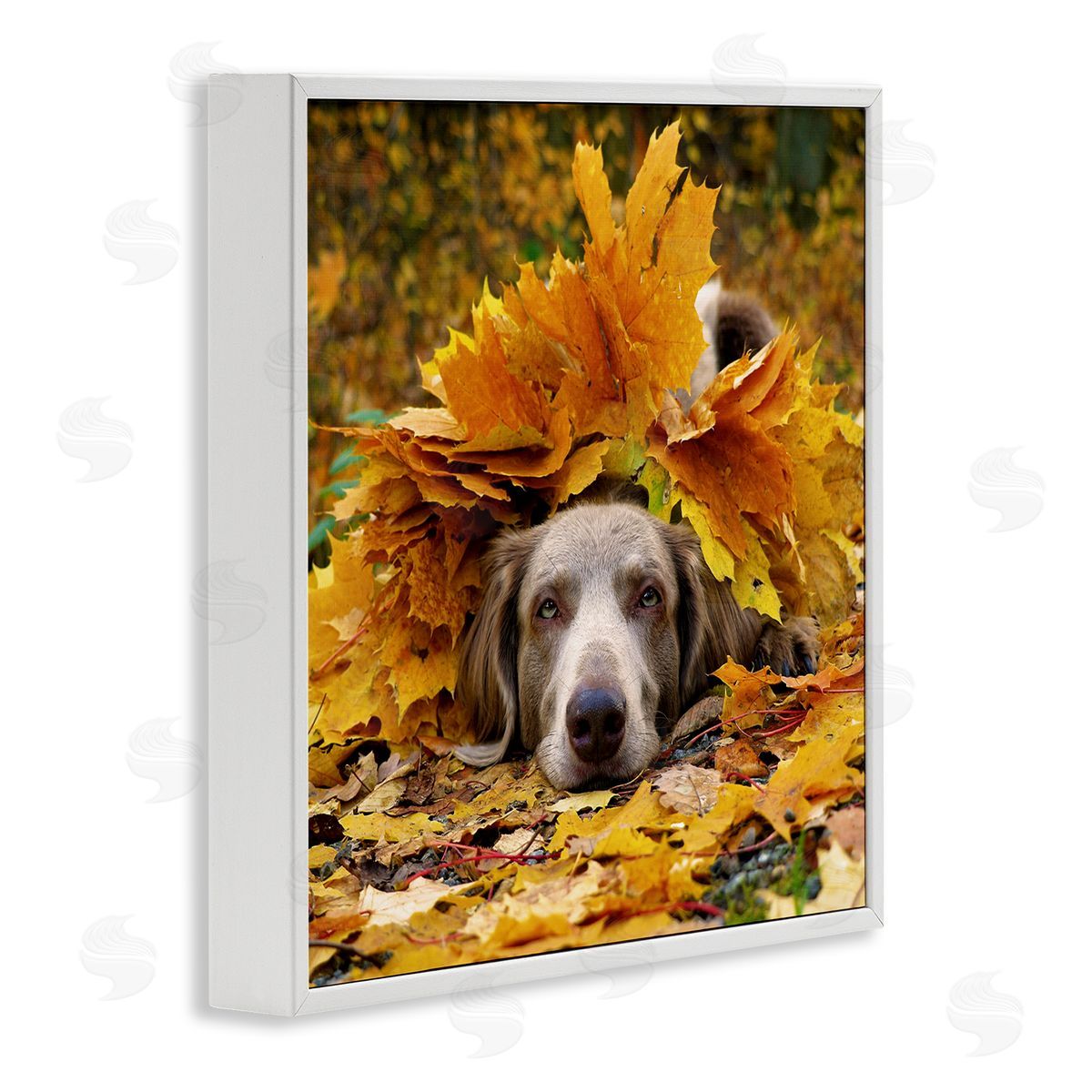 Stupell Studio Happy Puppy Autumn Foliage White Framed Glicee Wall Art Print