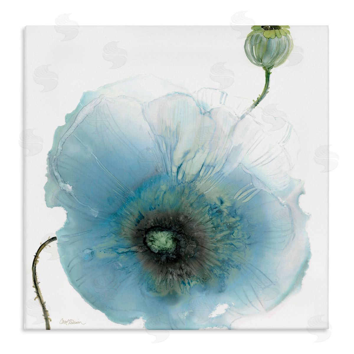 Carol Robinson Contemporary Flower Petal Shape Stretched Canvas Wall Art Print
