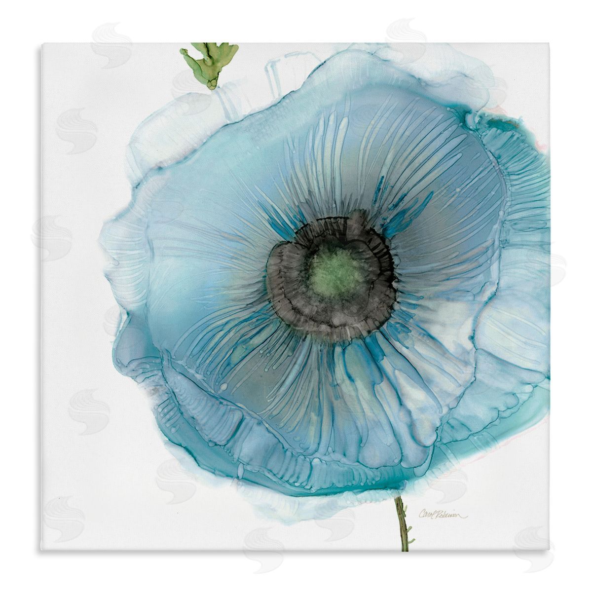Carol Robinson Modern Floral Poppy Shape  Stretched Canvas Wall Art Print