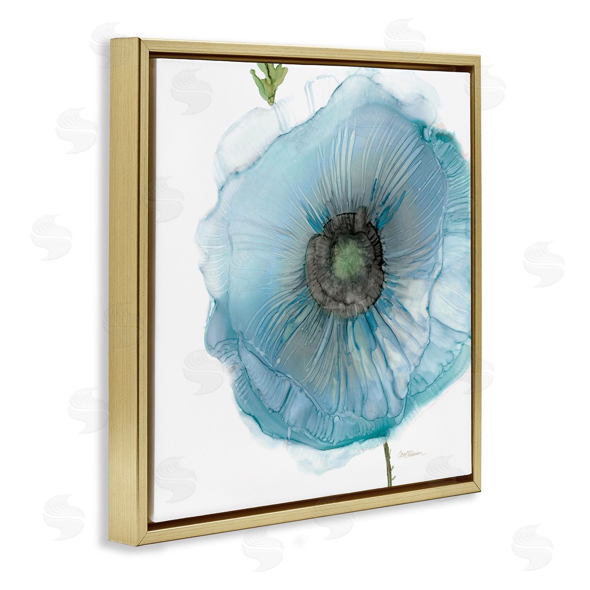Carol Robinson Modern Floral Poppy Shape  Gold Floating Frame Canvas Wall Art Print