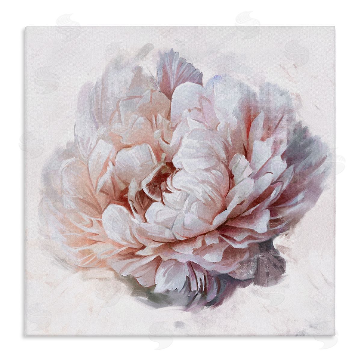 Ziwei Li Detailed Peony Petals Stretched Canvas Wall Art Print