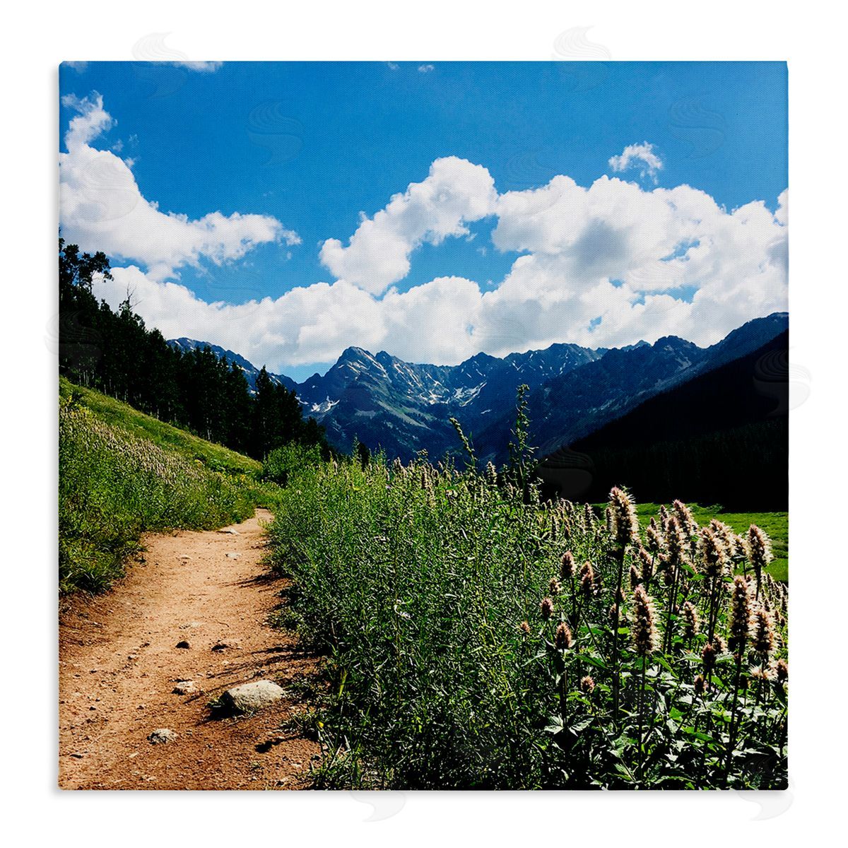 Anna Coppel Mountain Field Nature Path Stretched Canvas Wall Art Print