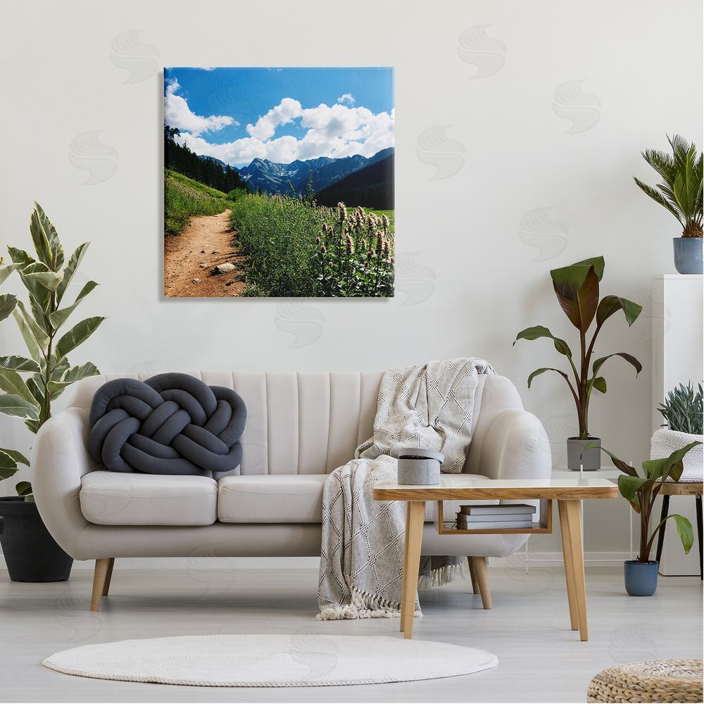 Anna Coppel Mountain Field Nature Path Canvas Wall Art in Room