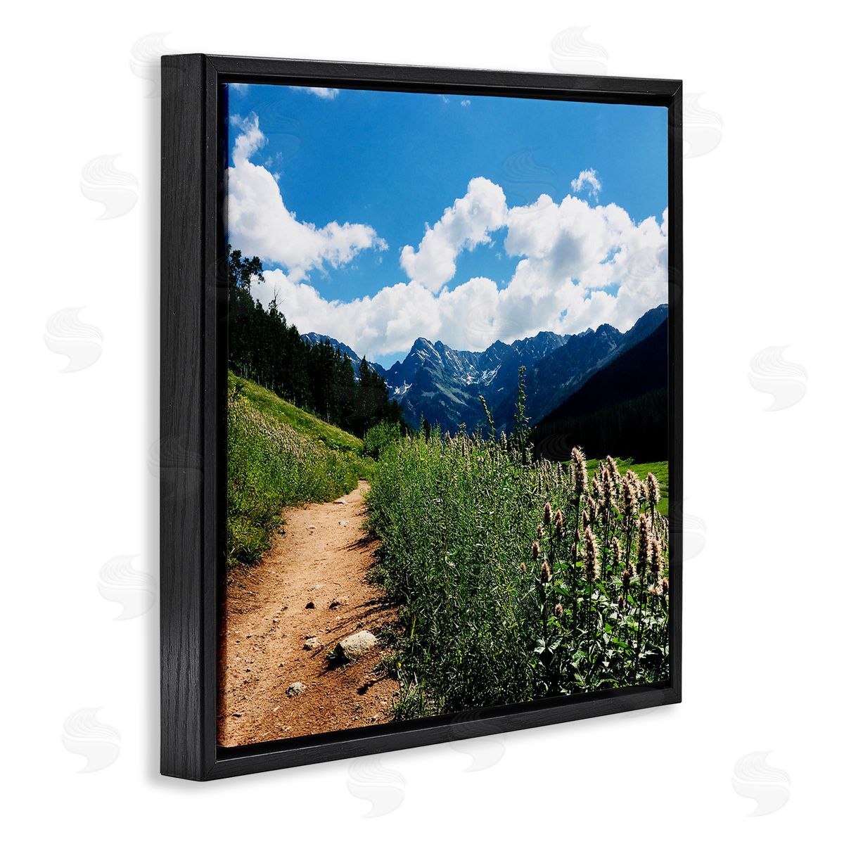 Anna Coppel Mountain Field Nature Path Black Floating Frame Canvas Wall Art Print