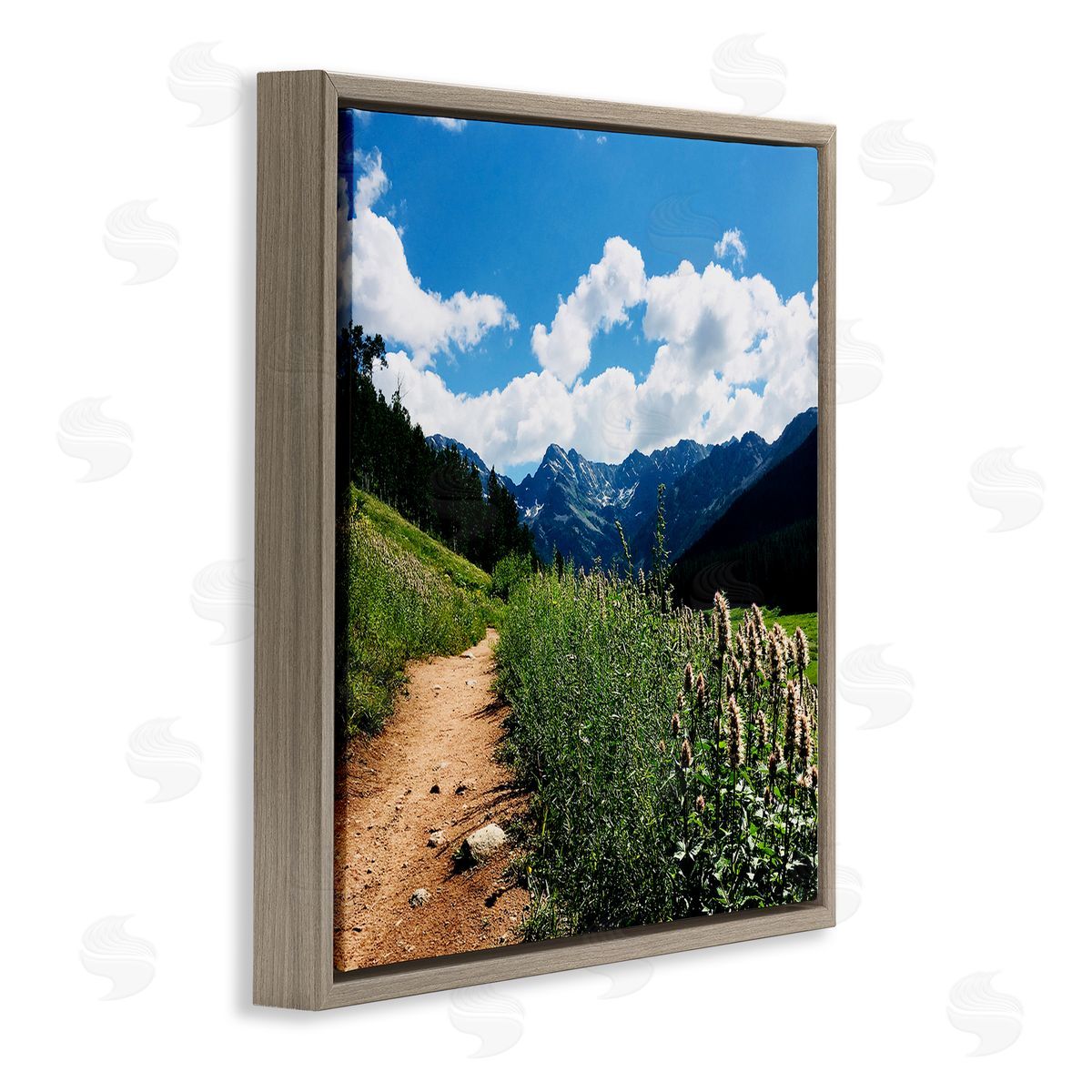 Anna Coppel Mountain Field Nature Path Brown Floating Frame Canvas Wall Art Print