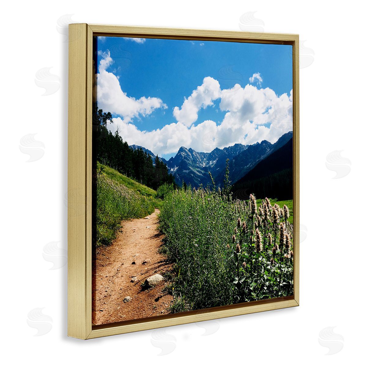 Anna Coppel Mountain Field Nature Path Gold Floating Frame Canvas Wall Art Print