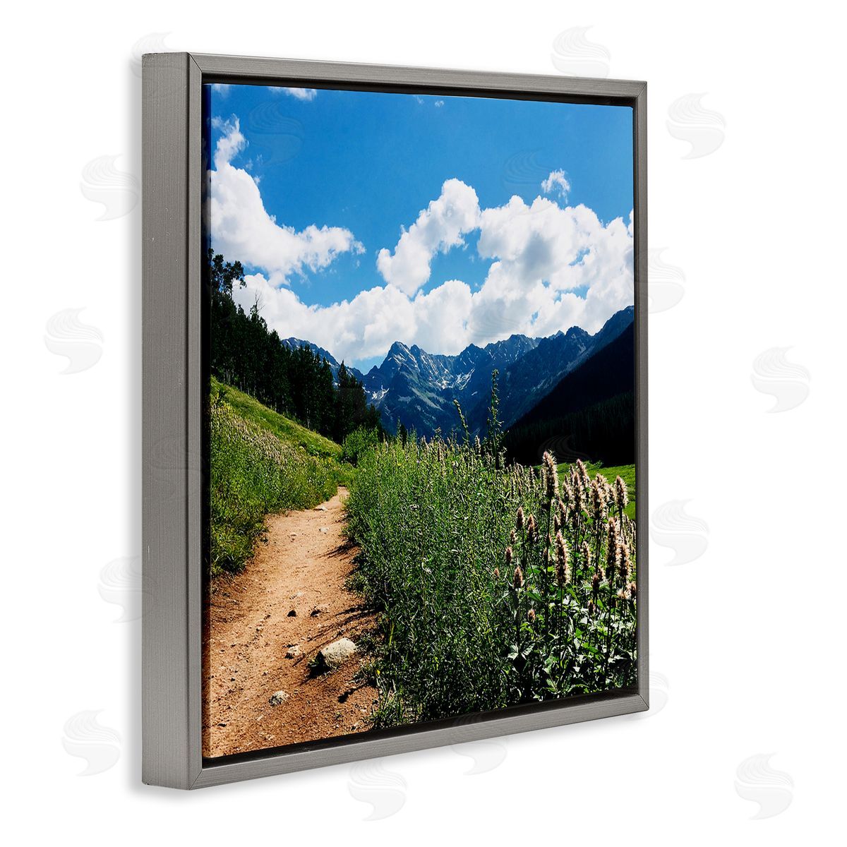 Anna Coppel Mountain Field Nature Path Gray Floating Frame Canvas Wall Art Print