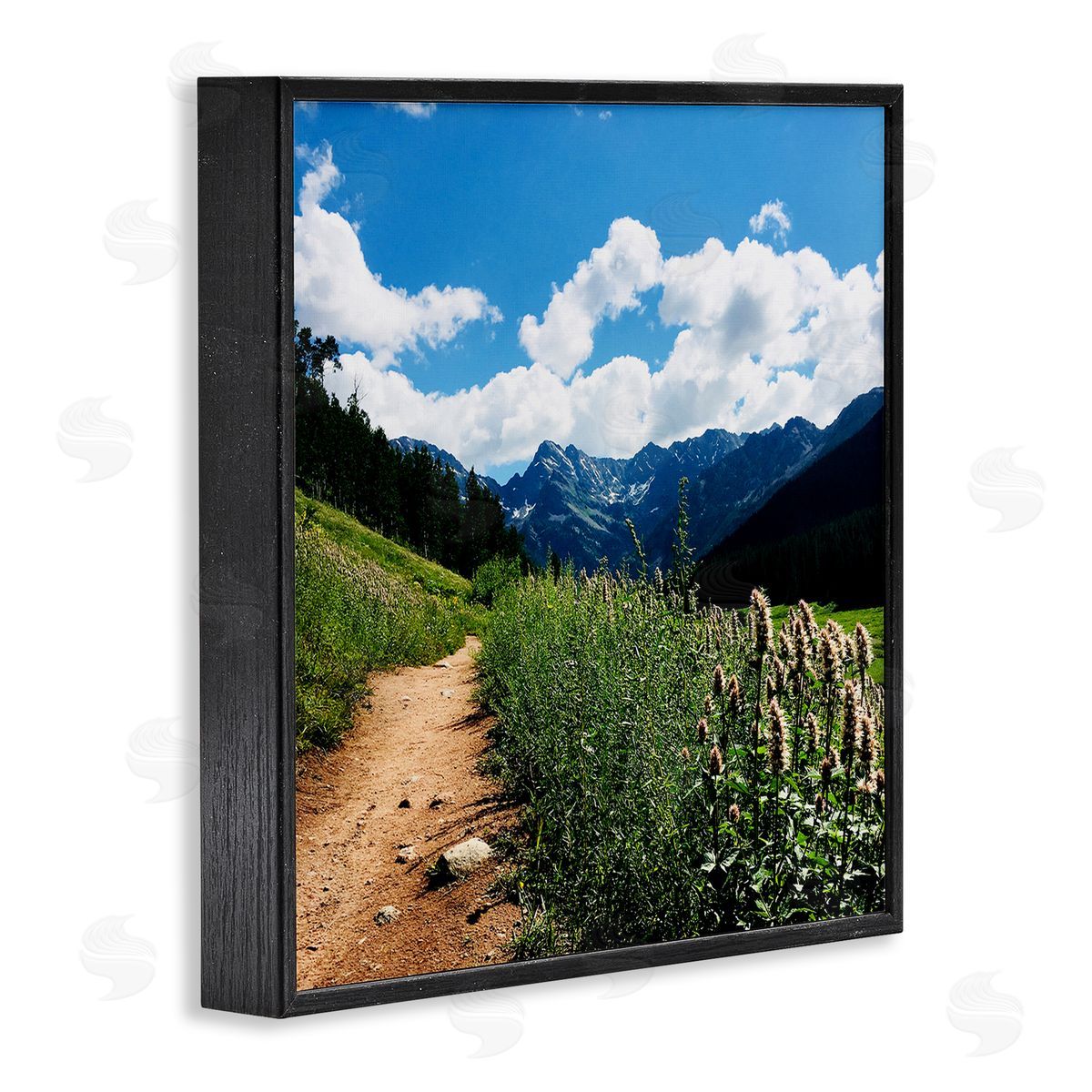 Anna Coppel Mountain Field Nature Path Black Framed Glicee Wall Art Print