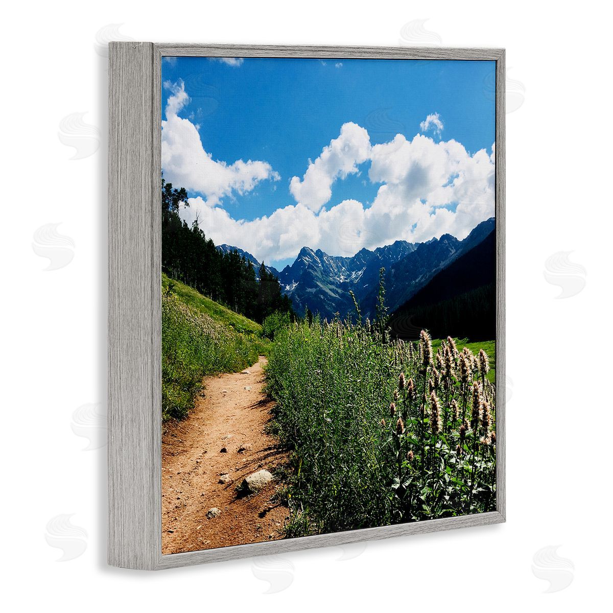 Anna Coppel Mountain Field Nature Path Gray Framed Glicee Wall Art Print