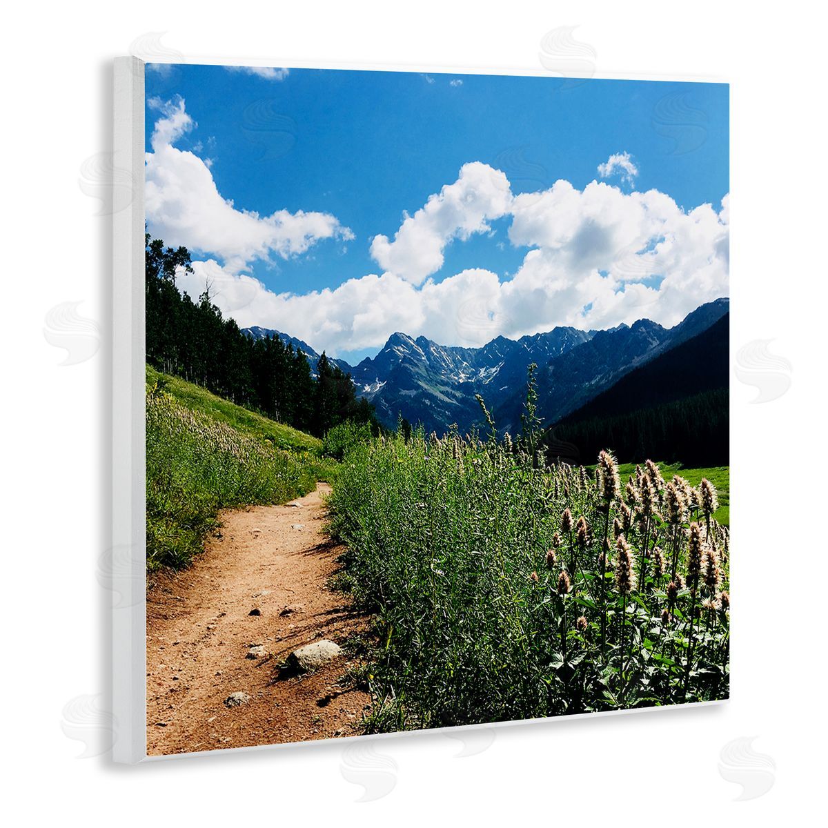 Anna Coppel Mountain Field Nature Path Wooden Wall Plaque Art Print