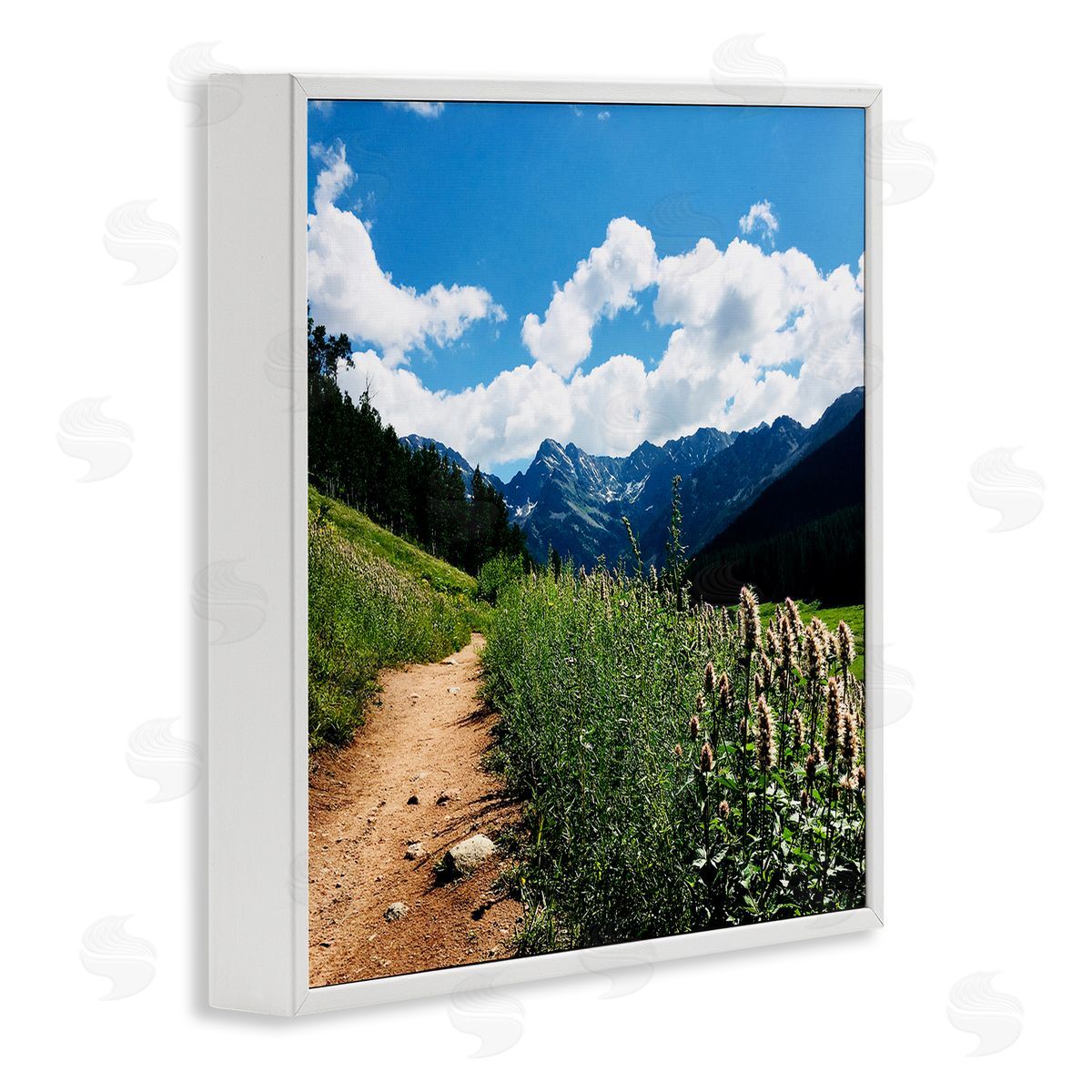 Anna Coppel Mountain Field Nature Path White Framed Glicee Wall Art Print