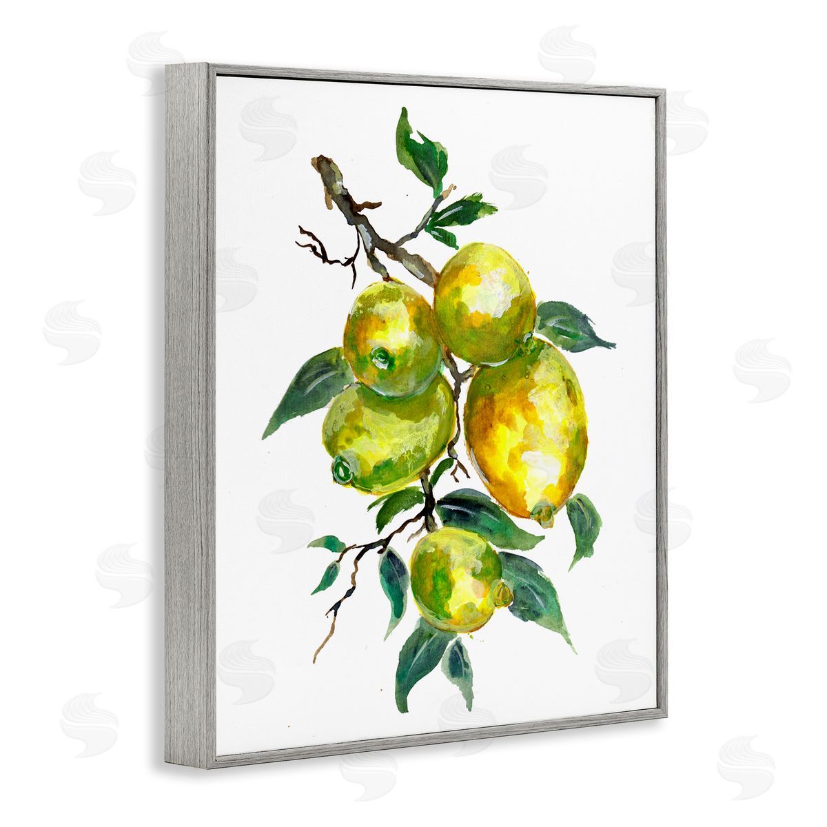 Sebastian Grafmann Lemon Citrus fr_sideuit Tree