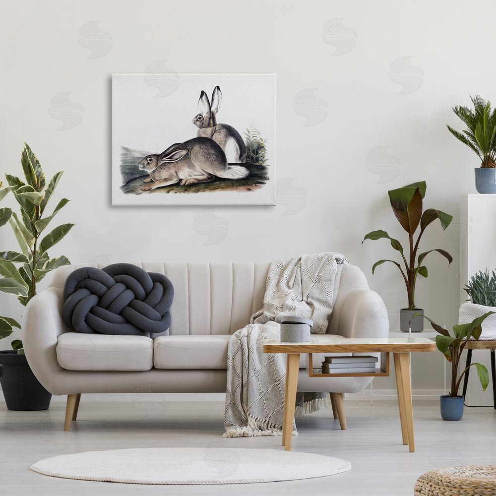 Lettered and Lined Rabbit Duo Gazing Animals