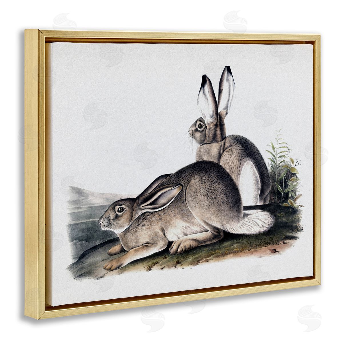 Lettered and Lined Rabbit Duo Gazing Animals