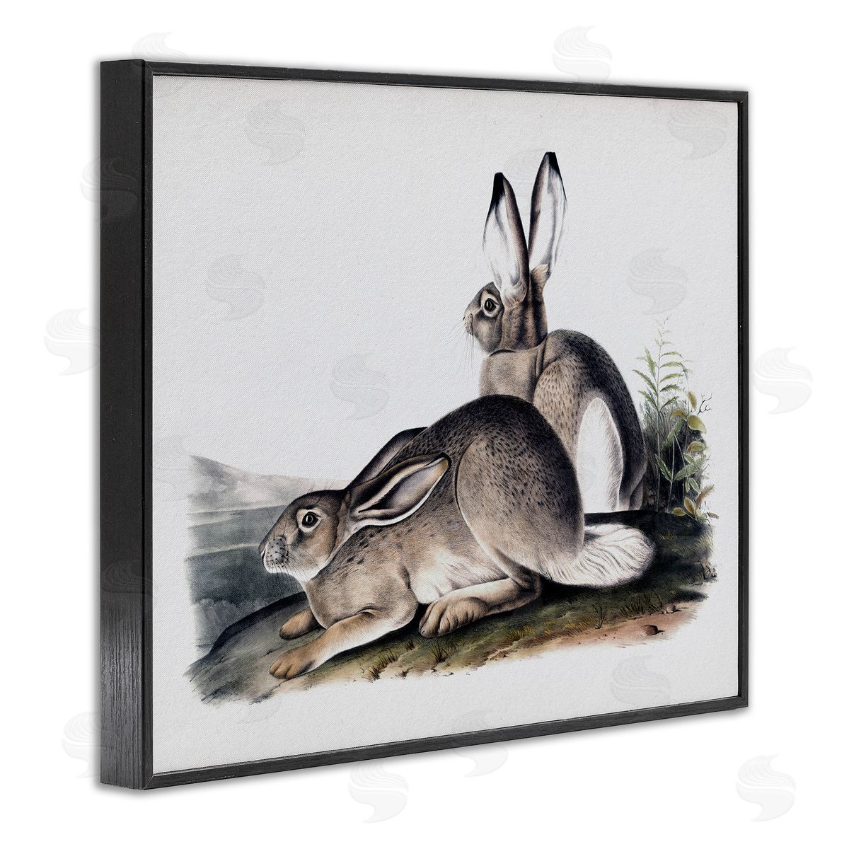 Lettered and Lined Rabbit Duo Gazing Animals