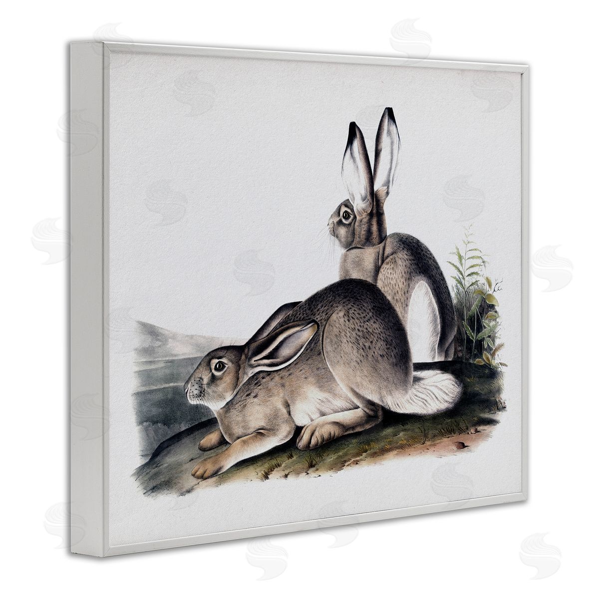 Lettered and Lined Rabbit Duo Gazing Animals