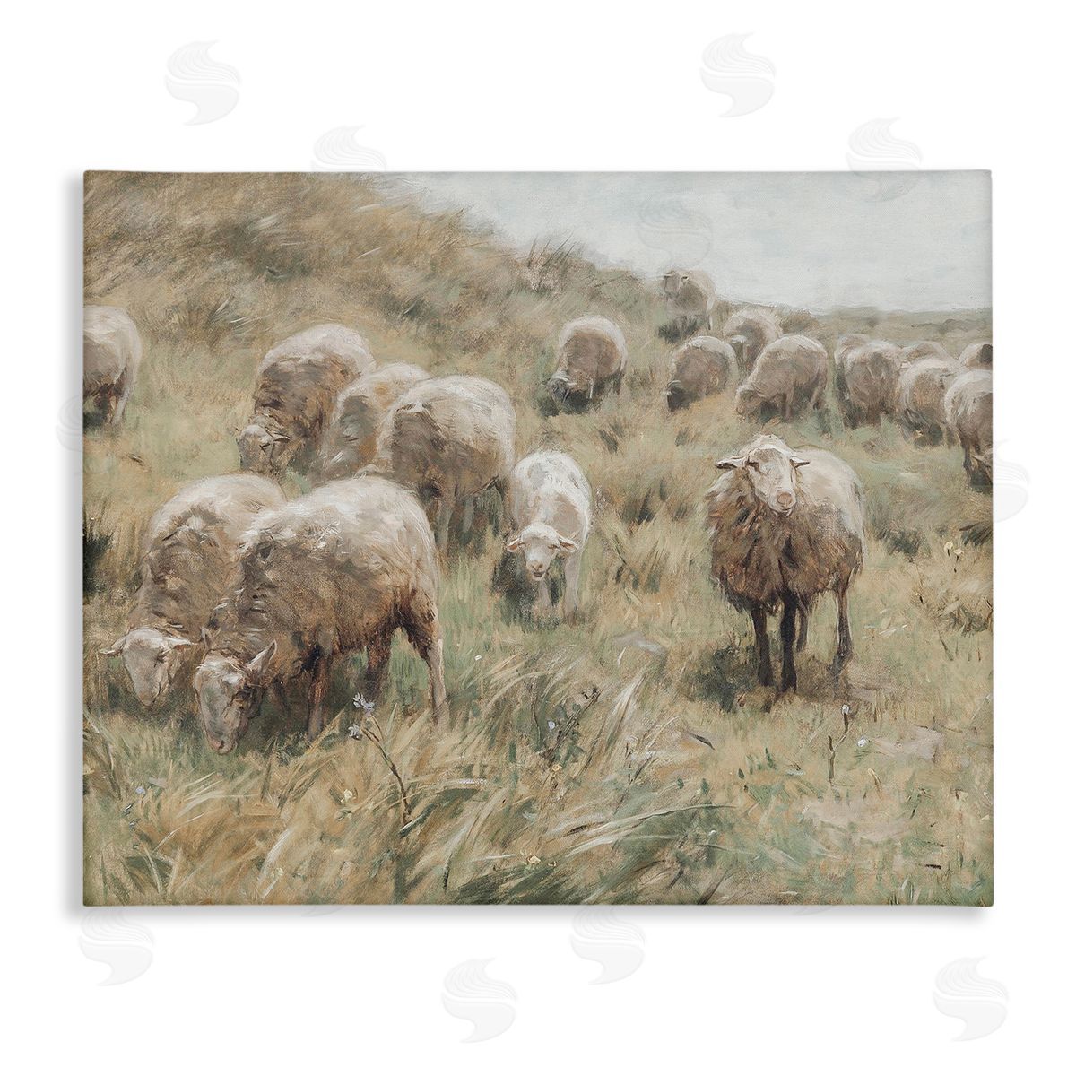 Lettered and Lined Rural Cattle Grazing Field