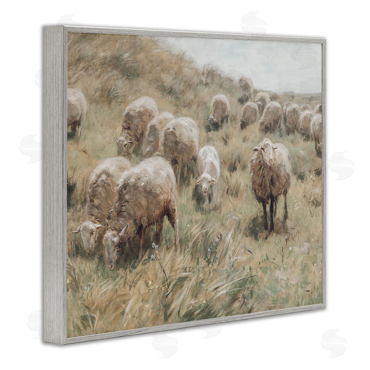 Lettered and Lined Rural Cattle Grazing Field