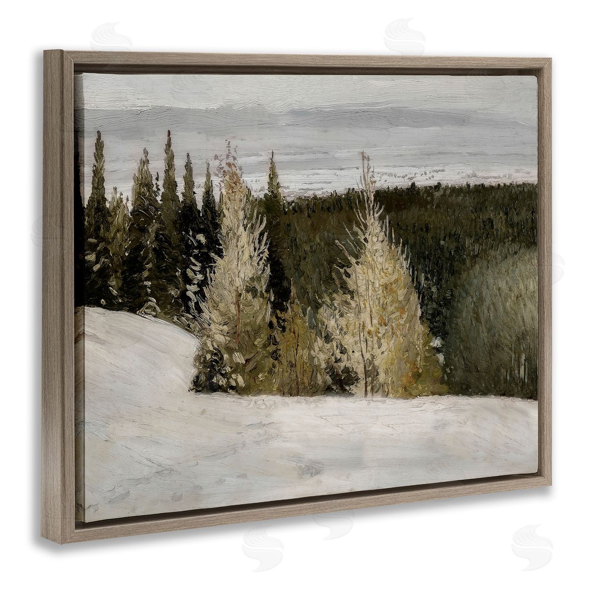 Lettered and Lined Snowy Slopes Woodland Nature