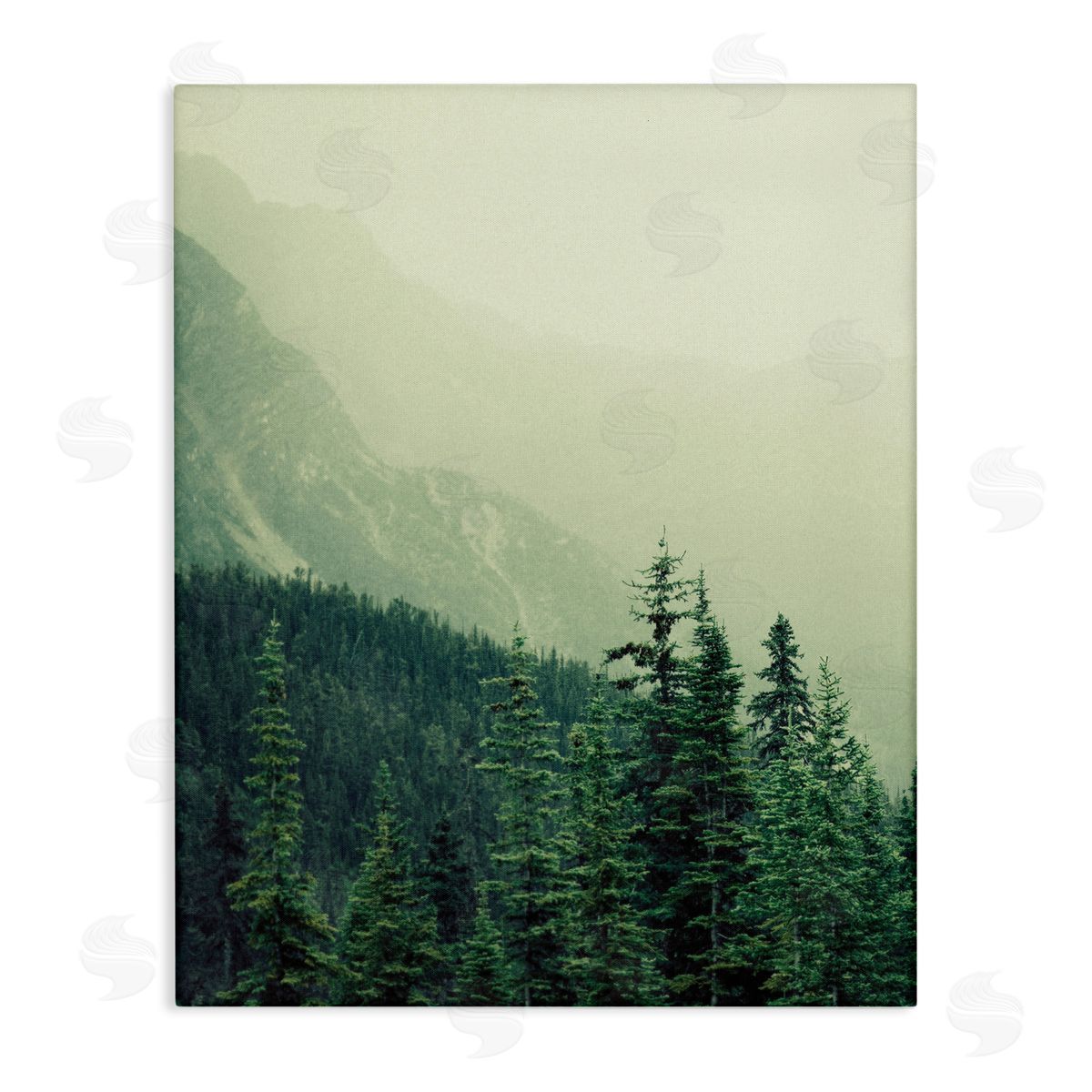 Lynann Colligan Overlooking Mountains Nature