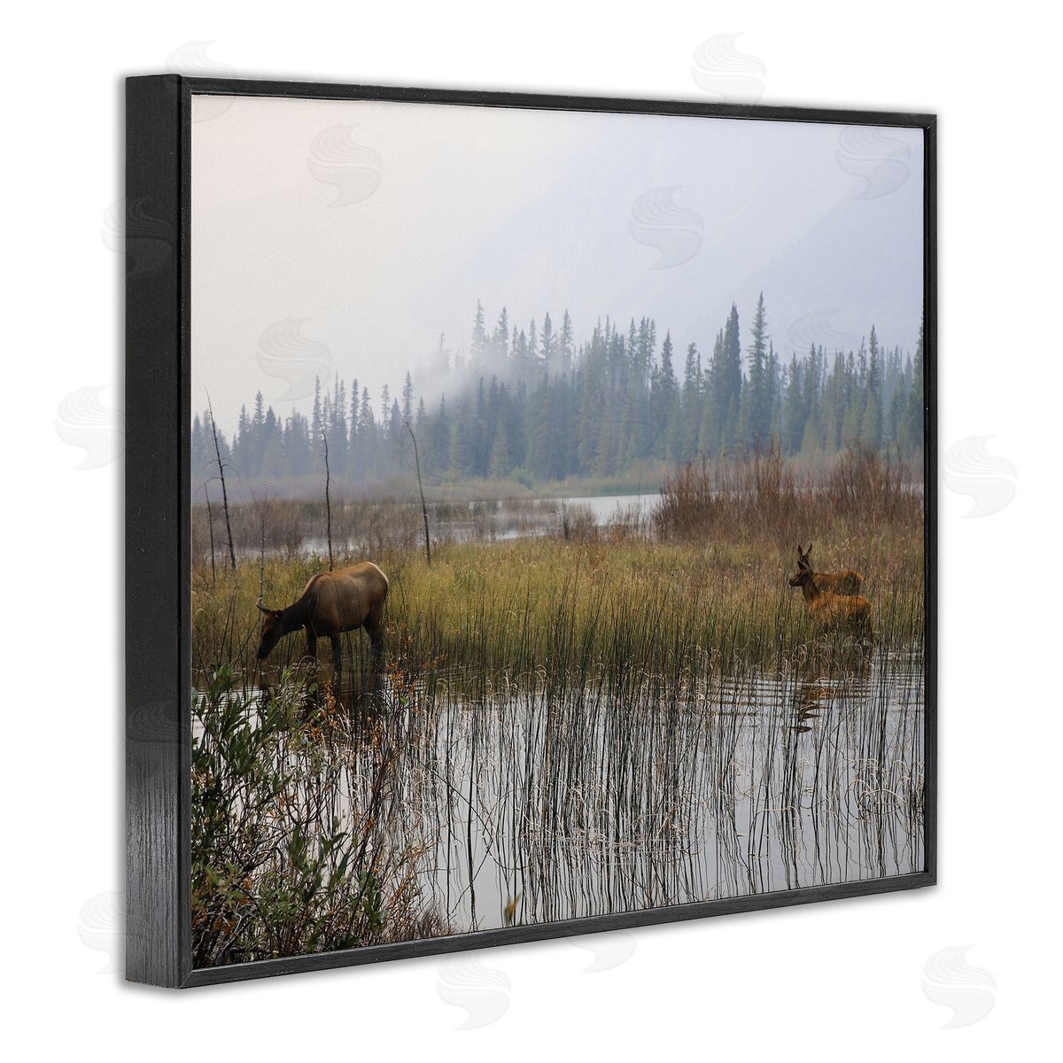 Carol Robinson Animals Grazing Creek Landscape