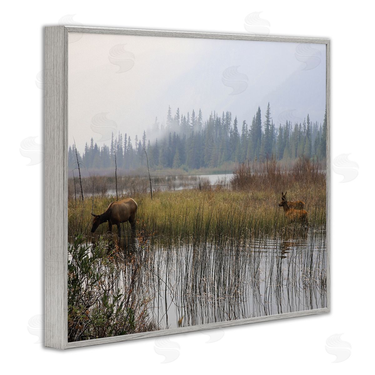 Carol Robinson Animals Grazing Creek Landscape