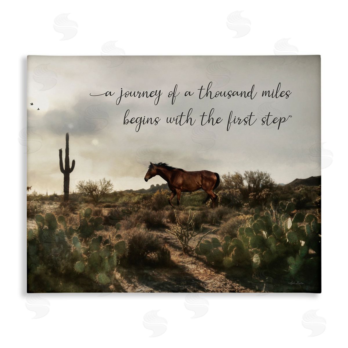 Lori Deiter Journey Begins With First Step Scenery