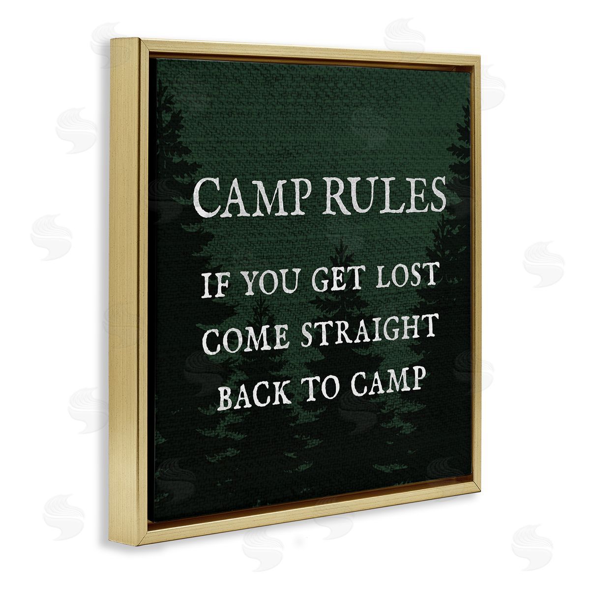 Stupell Studio Camp Rules If You Get Lost Funny Gold Floating Frame Canvas Wall Art Print