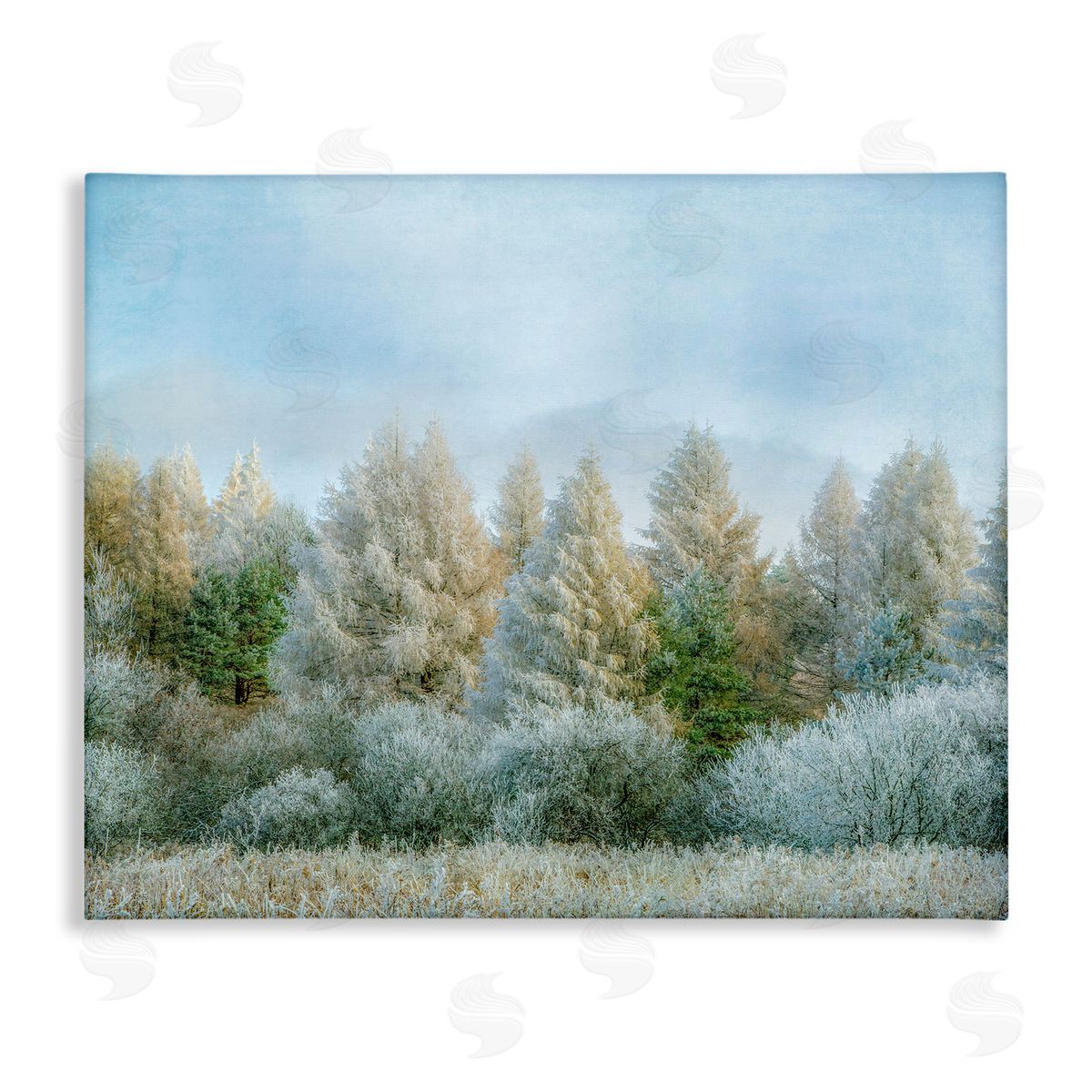 Brooke T. Ryan Woodland Grove Forest Trees 