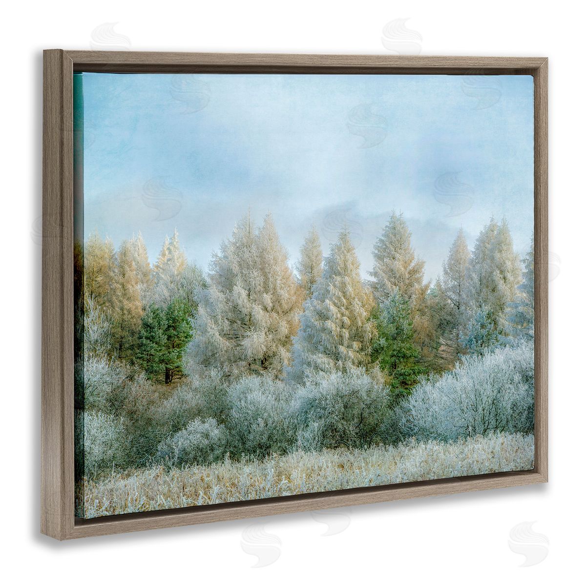 Brooke T. Ryan Woodland Grove Forest Trees 