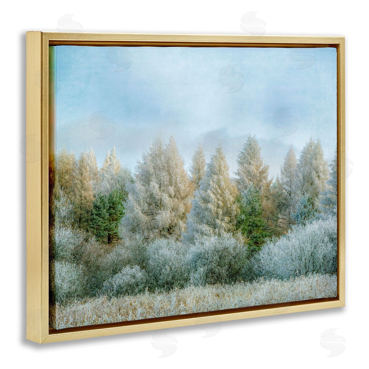Brooke T. Ryan Woodland Grove Forest Trees 