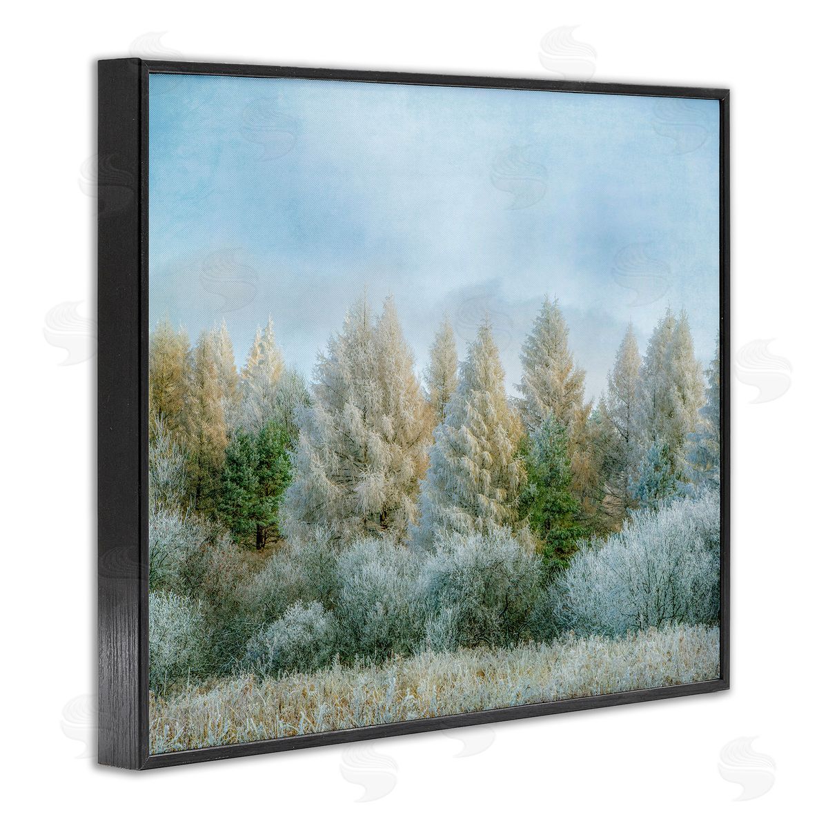 Brooke T. Ryan Woodland Grove Forest Trees 