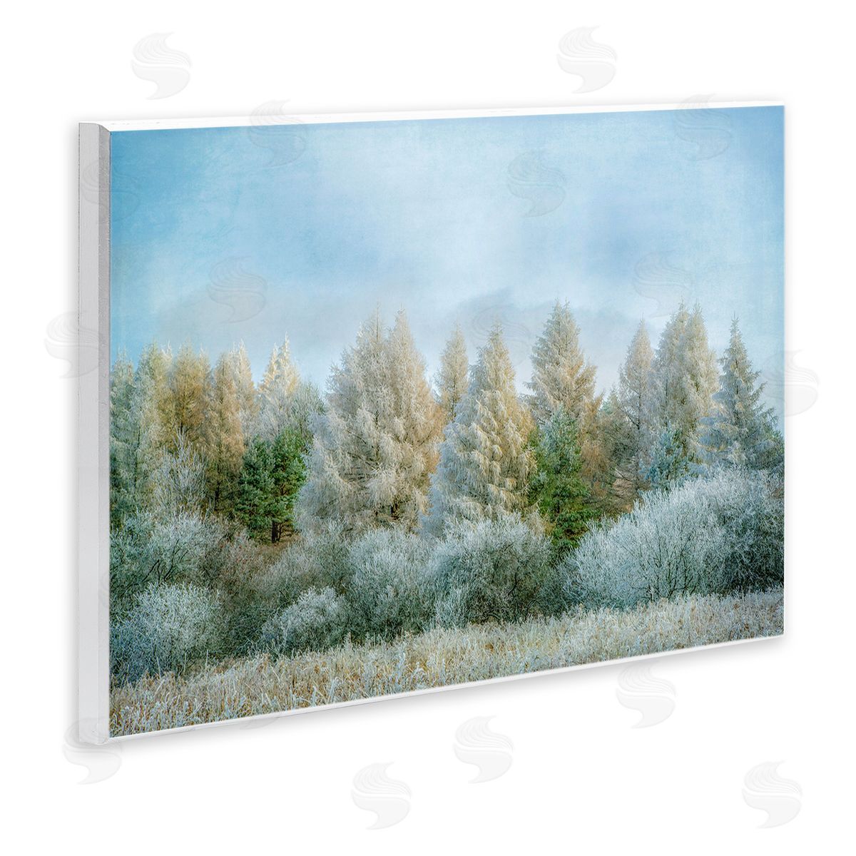 Brooke T. Ryan Woodland Grove Forest Trees 