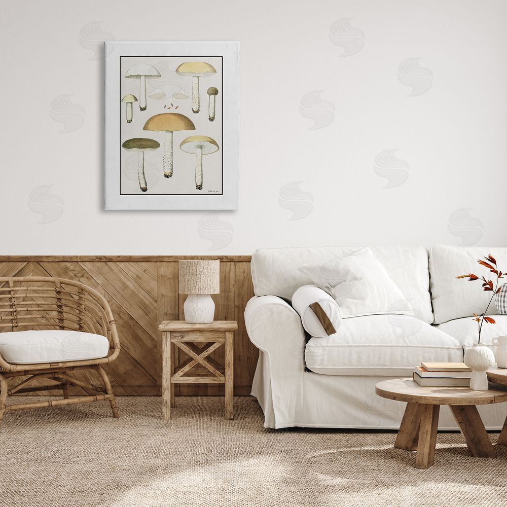 Stellar Design Studio Various Mushrooms Forest Plant