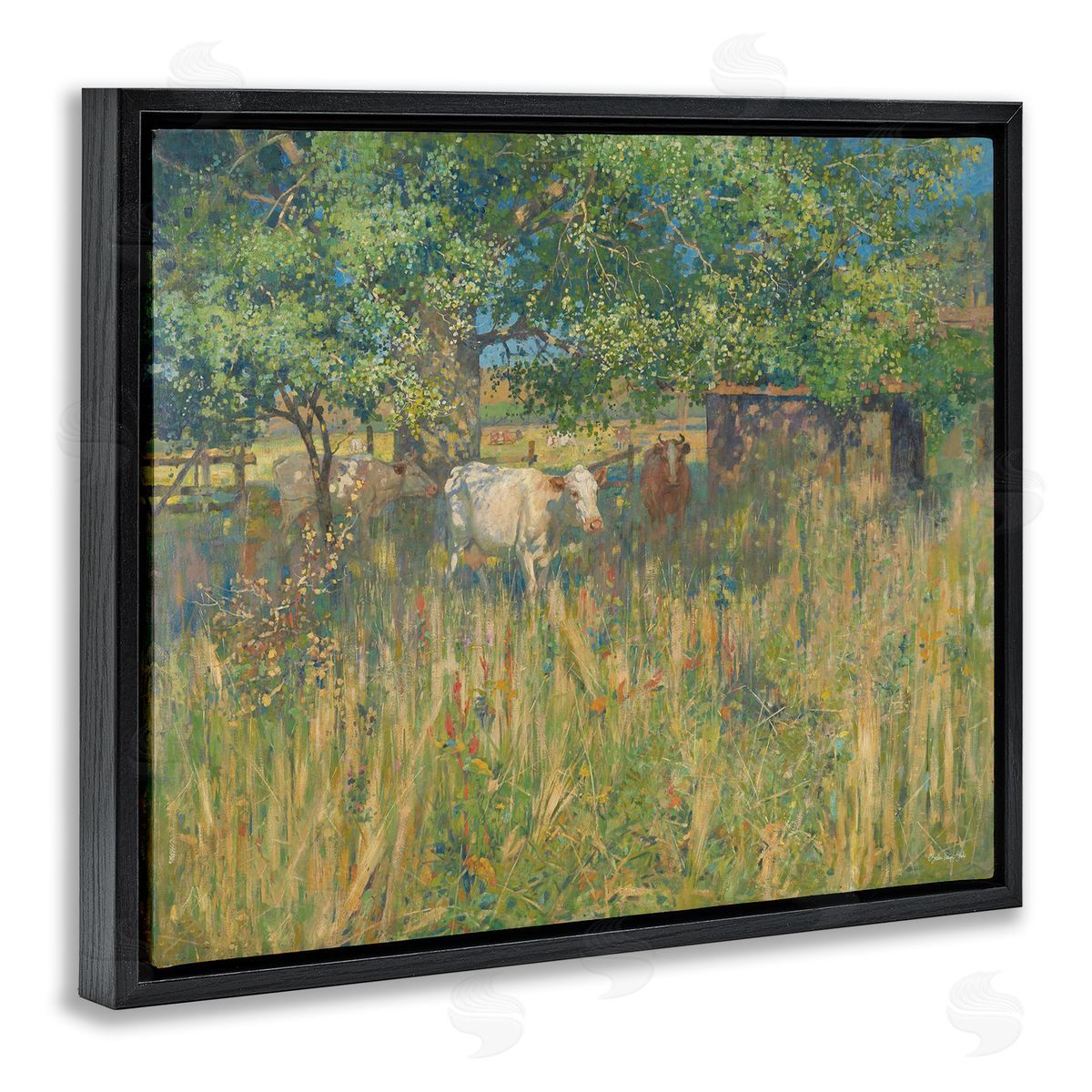 Stellar Design Studio Cattle Grazing Grassland Pasture