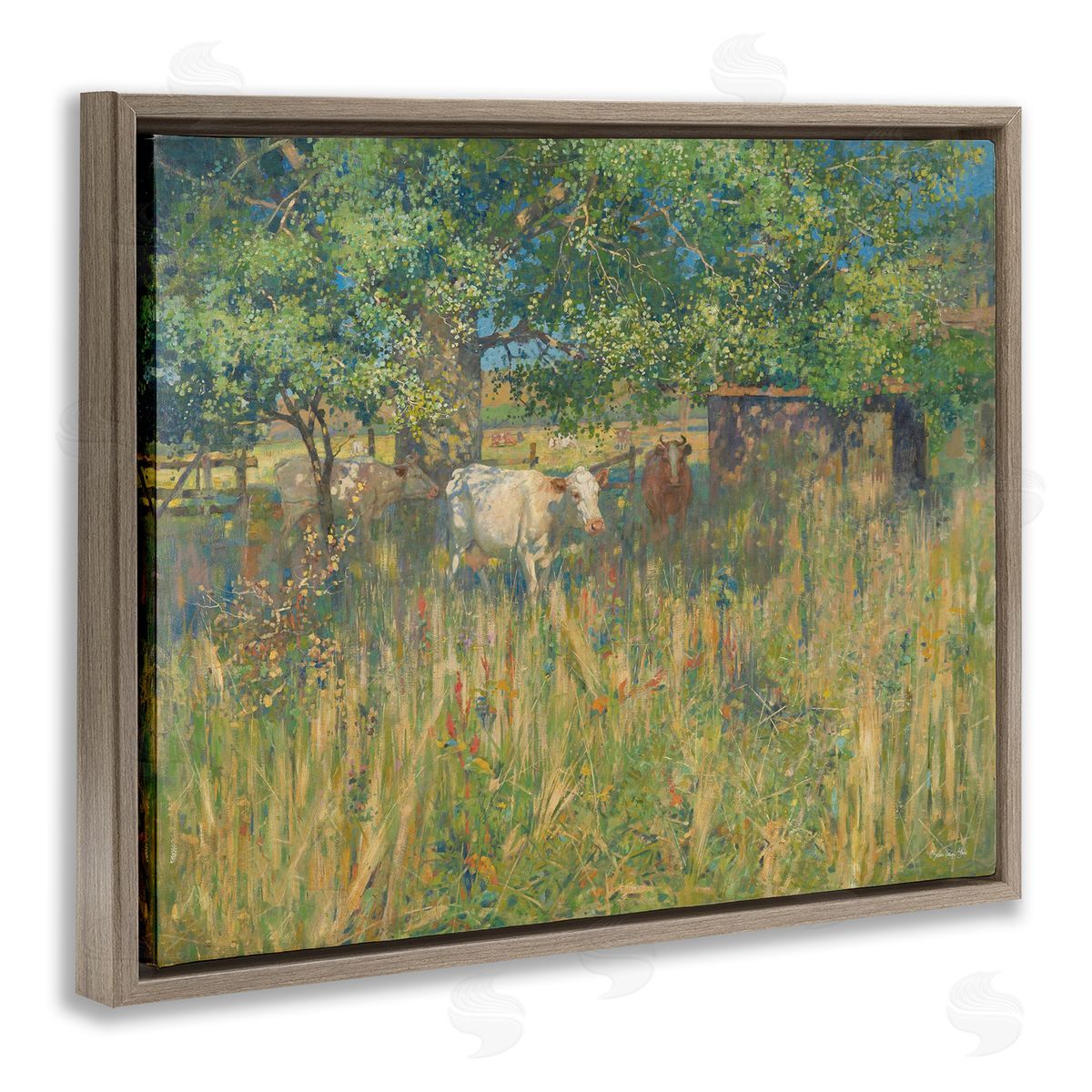 Stellar Design Studio Cattle Grazing Grassland Pasture