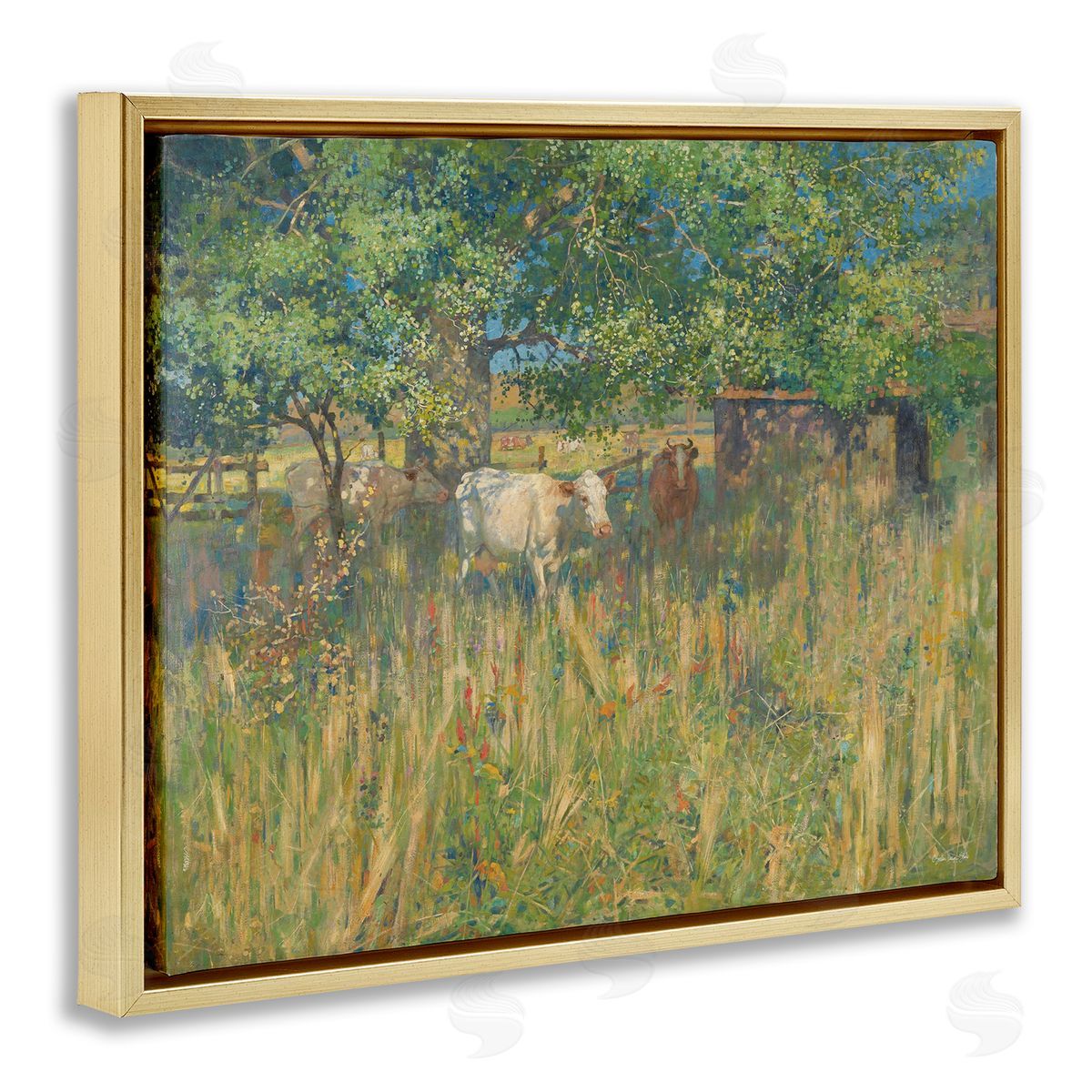 Stellar Design Studio Cattle Grazing Grassland Pasture
