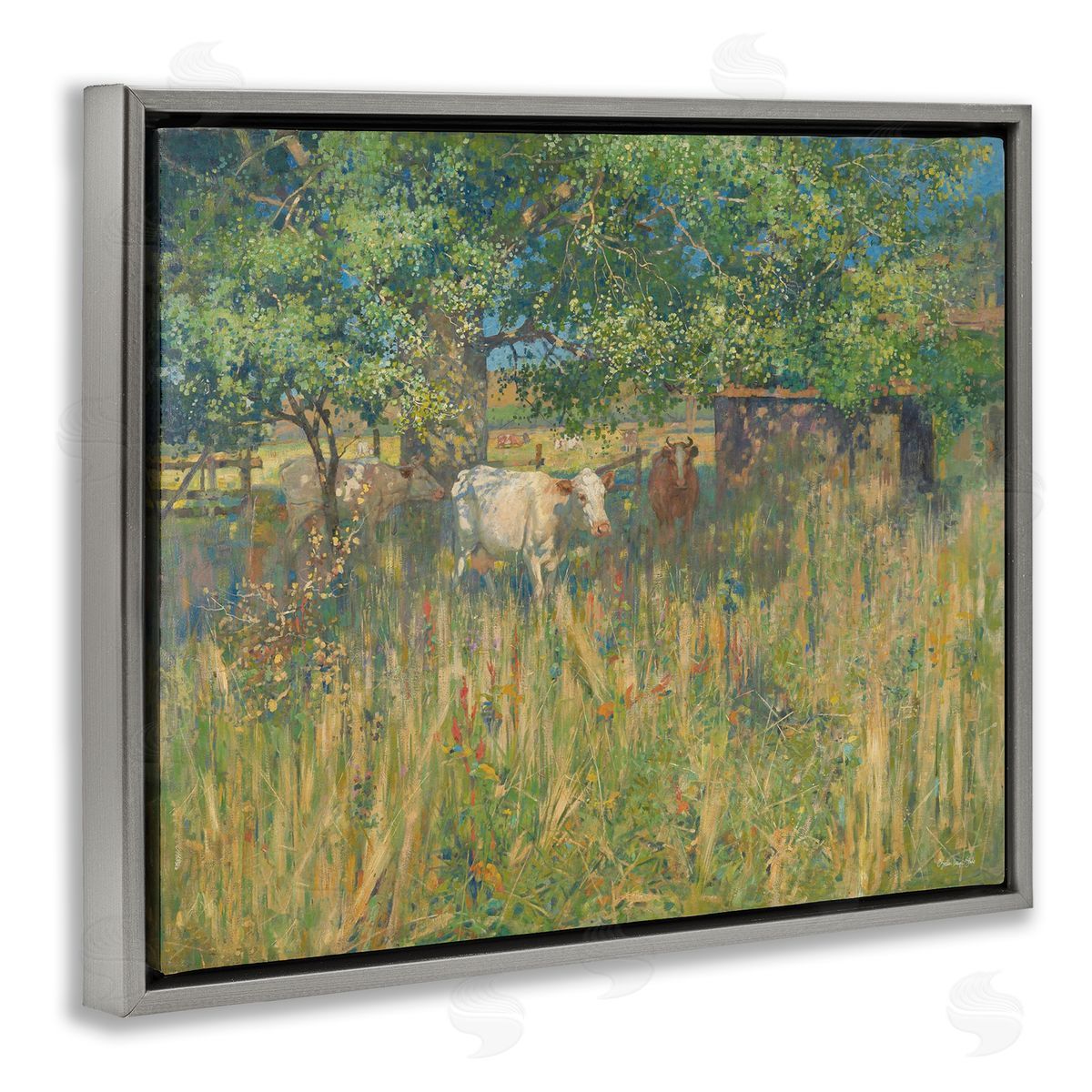 Stellar Design Studio Cattle Grazing Grassland Pasture