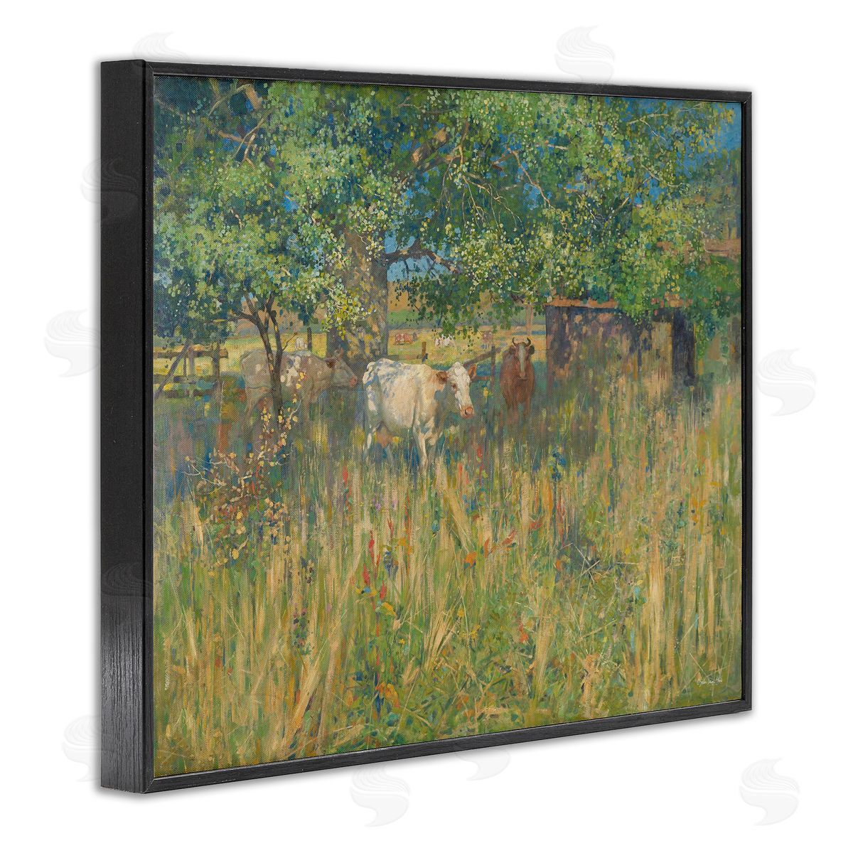 Stellar Design Studio Cattle Grazing Grassland Pasture