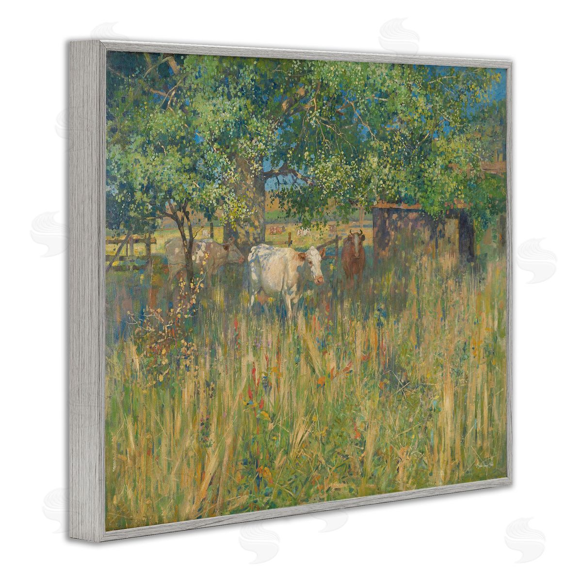 Stellar Design Studio Cattle Grazing Grassland Pasture