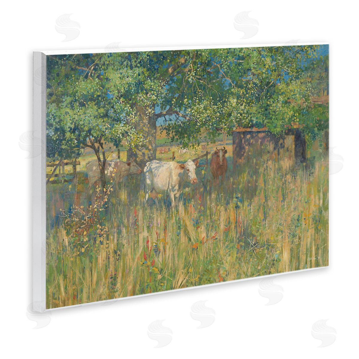 Stellar Design Studio Cattle Grazing Grassland Pasture
