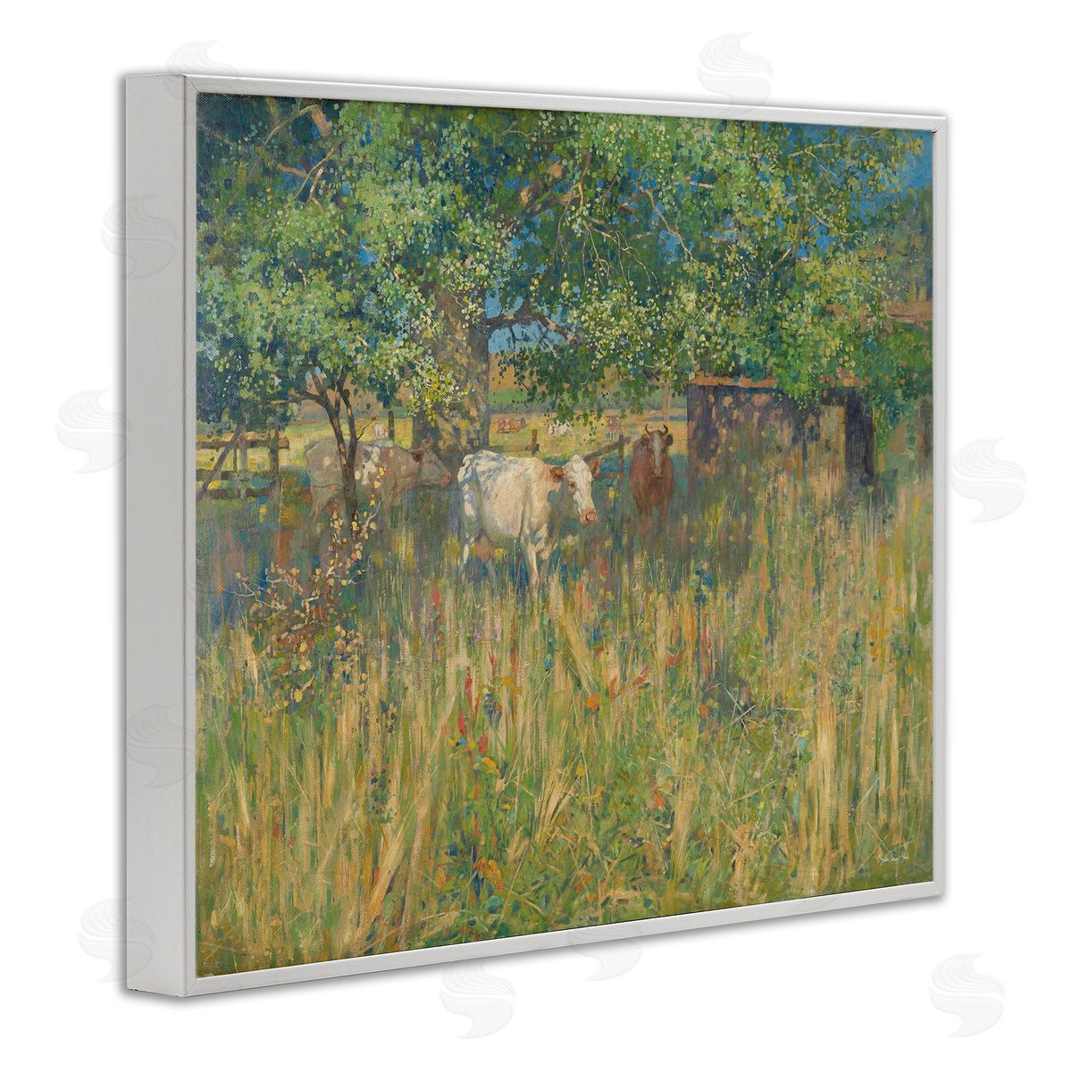 Stellar Design Studio Cattle Grazing Grassland Pasture