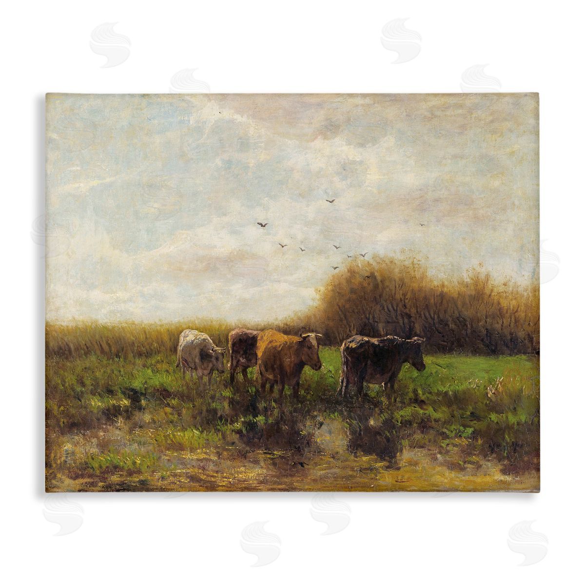 Stellar Design Studio Cattle Stepping Rural Scenery