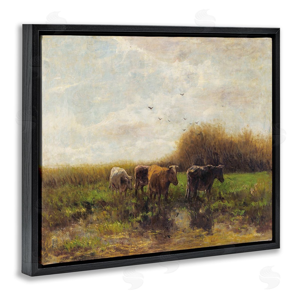 Stellar Design Studio Cattle Stepping Rural Scenery