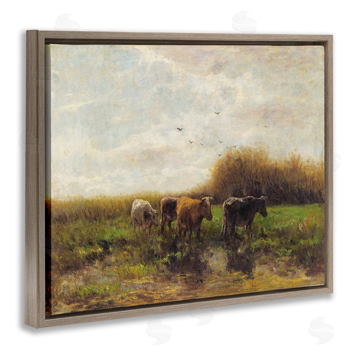 Stellar Design Studio Cattle Stepping Rural Scenery