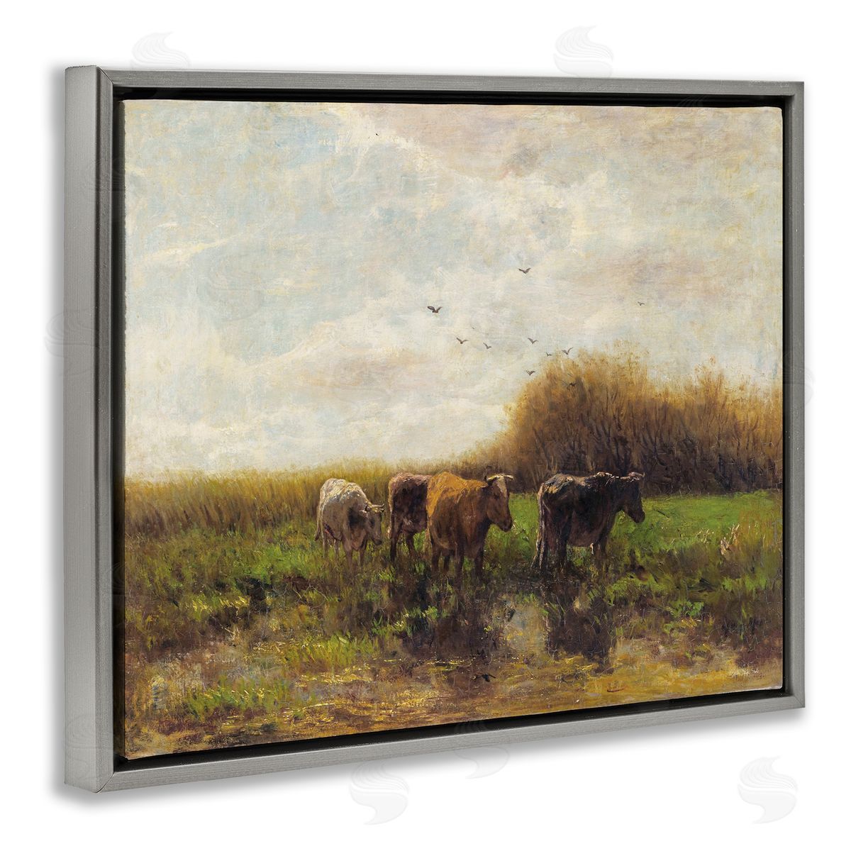Stellar Design Studio Cattle Stepping Rural Scenery