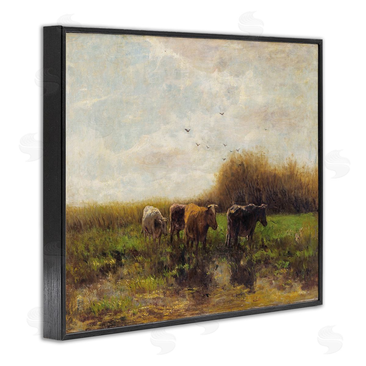 Stellar Design Studio Cattle Stepping Rural Scenery