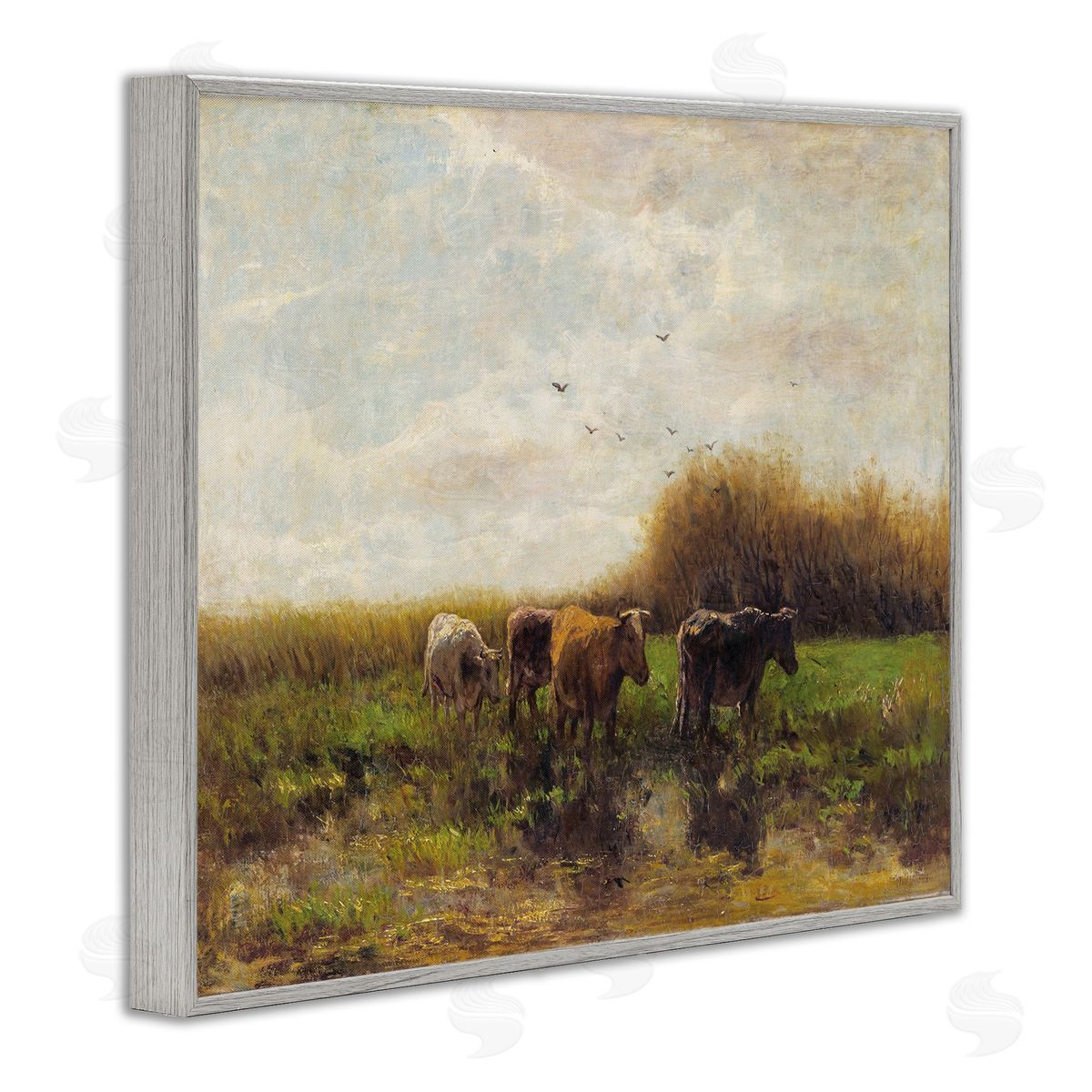 Stellar Design Studio Cattle Stepping Rural Scenery